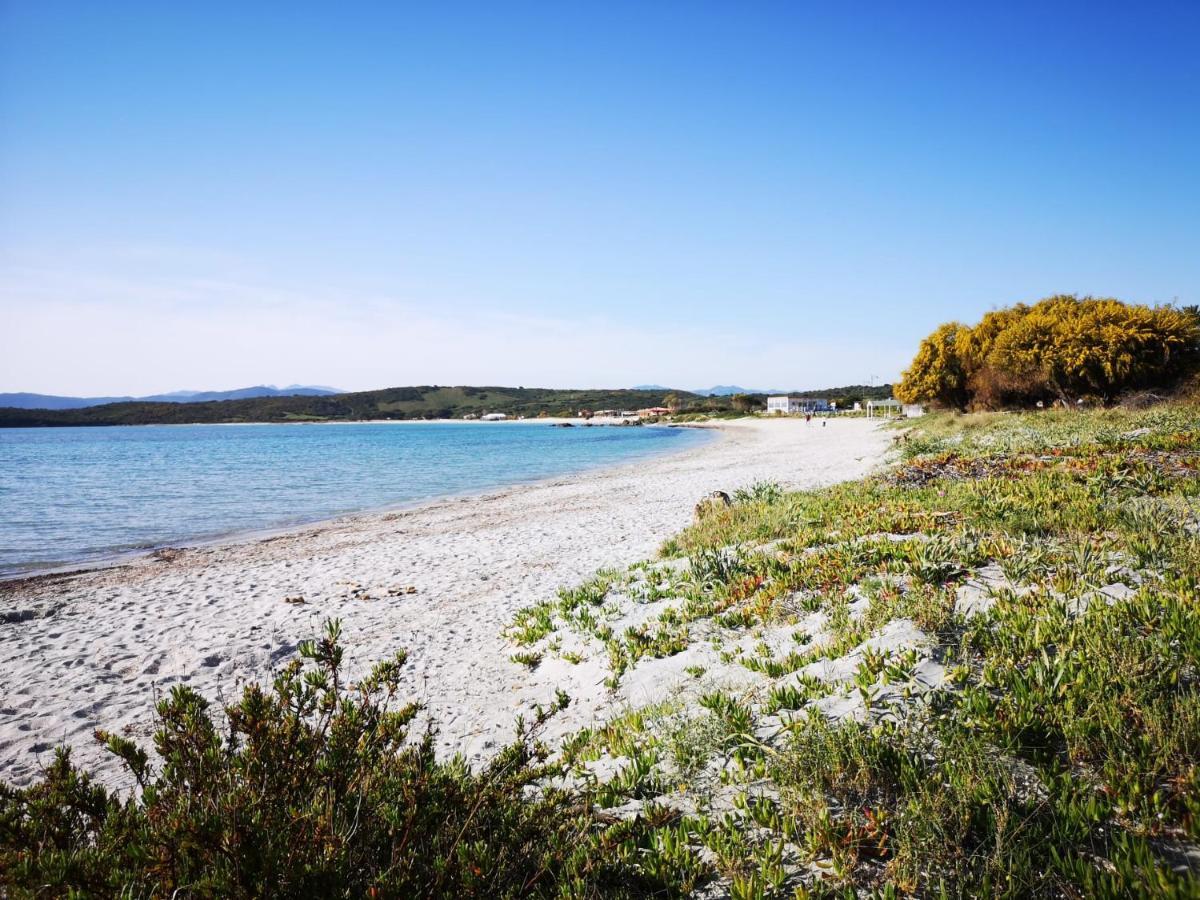 Ferienwohnung Insardinia House Trilocale A 200Mt Dalla Spiaggia Olbia Exterior foto