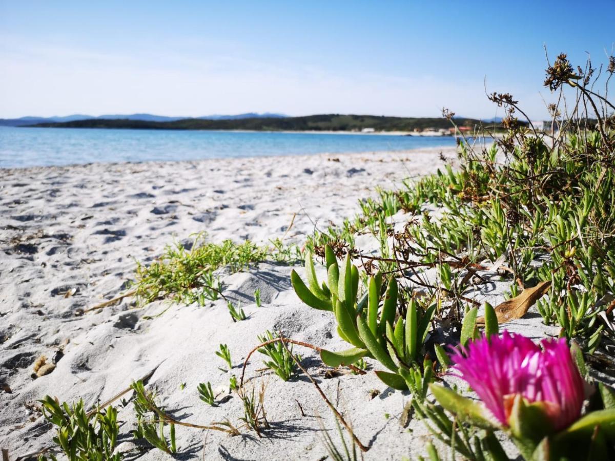 Ferienwohnung Insardinia House Trilocale A 200Mt Dalla Spiaggia Olbia Exterior foto